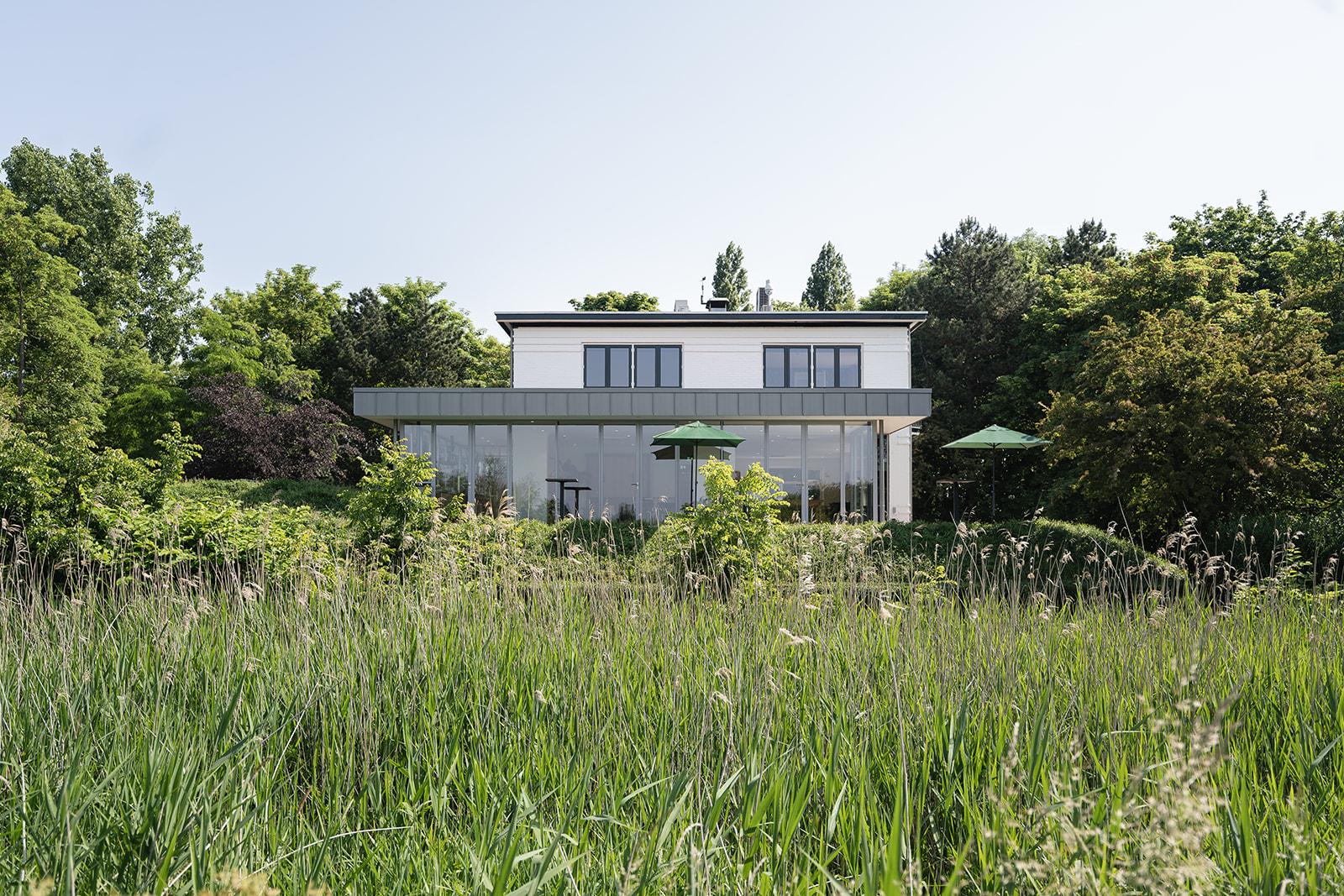 Huis van de Kikker achteraanzicht