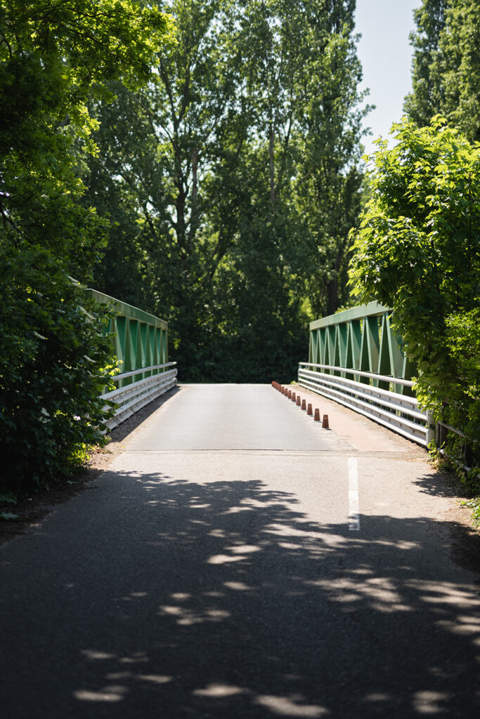 Zaagbrug eiland