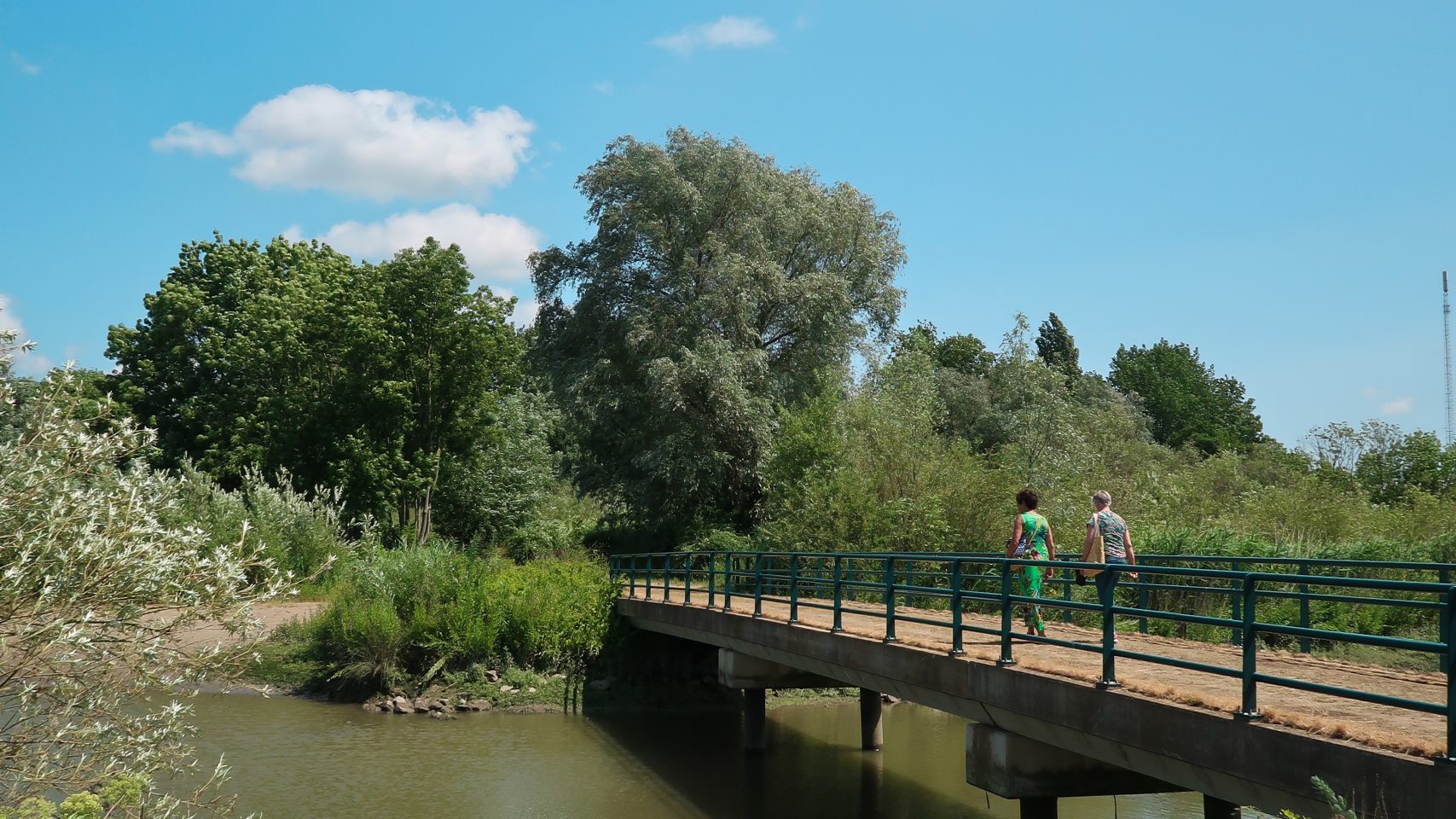 De kleine Zaag natuurgebied